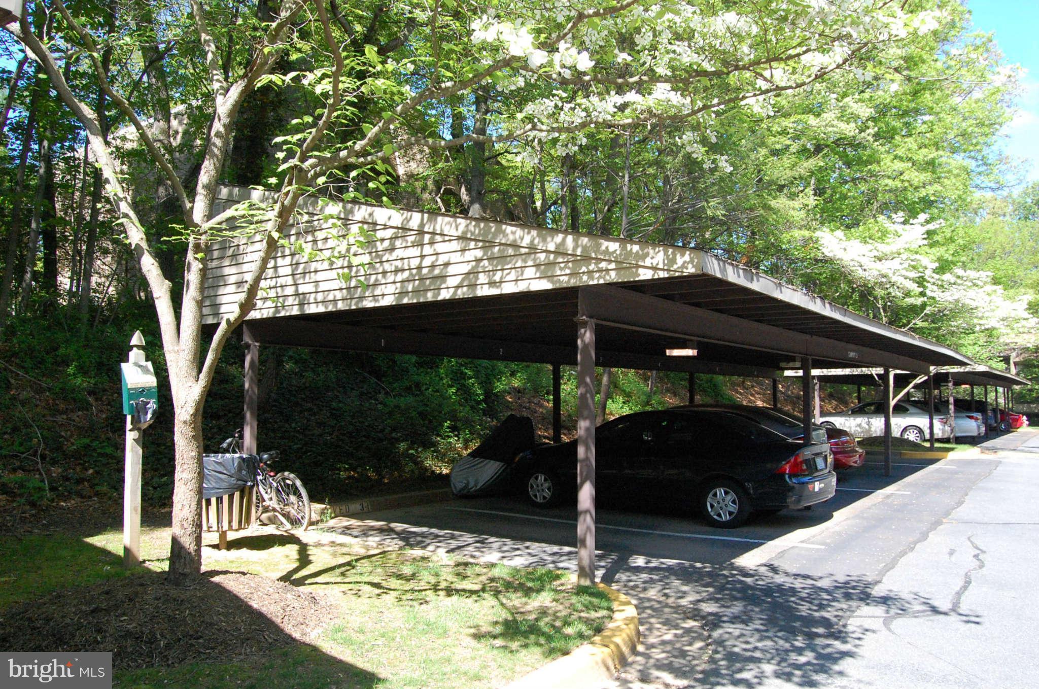 2102 Green Watch Way, Unit 200 Reston, VA 20191 - Photo 18 of 19 Carport Parking