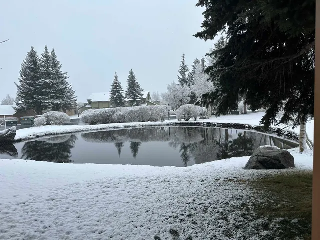 a view of swimming pool with a yard