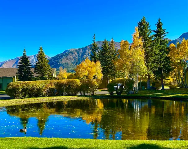 a sunset view with lake view