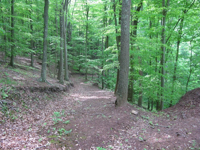 104 River Road Hinton, WV 25951 - Photo 27 of 38 Sylvan Falls -26