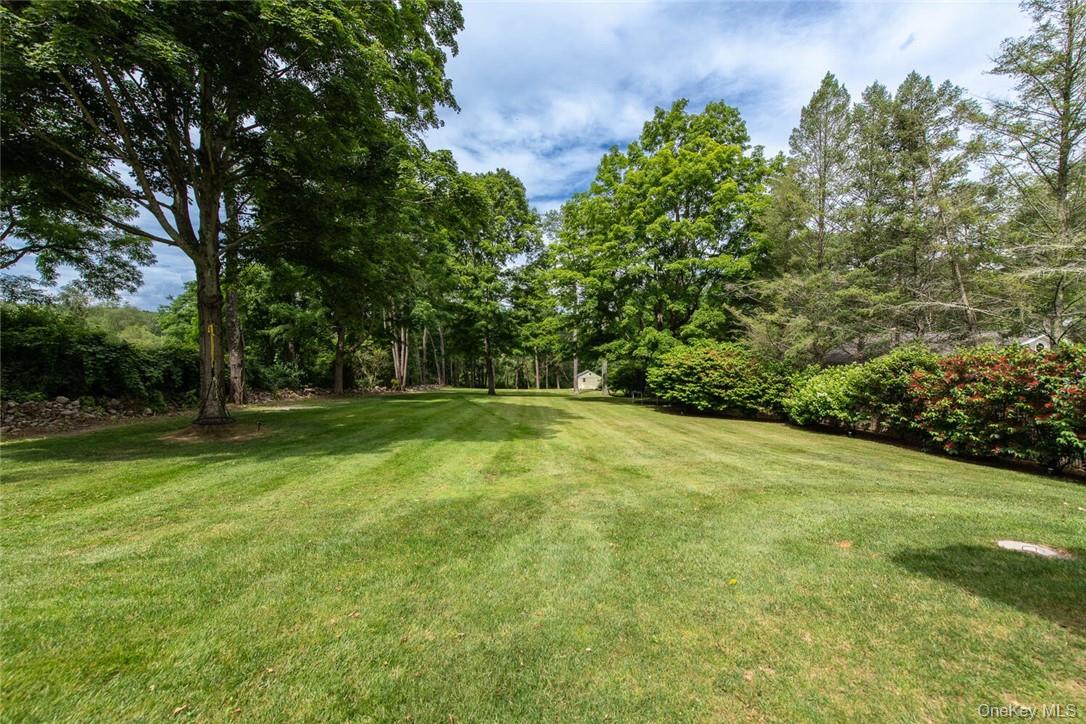 247 North Mabbettsville Road Millbrook, NY 12545 - Photo 25 of 25 a view of a trees with a yard