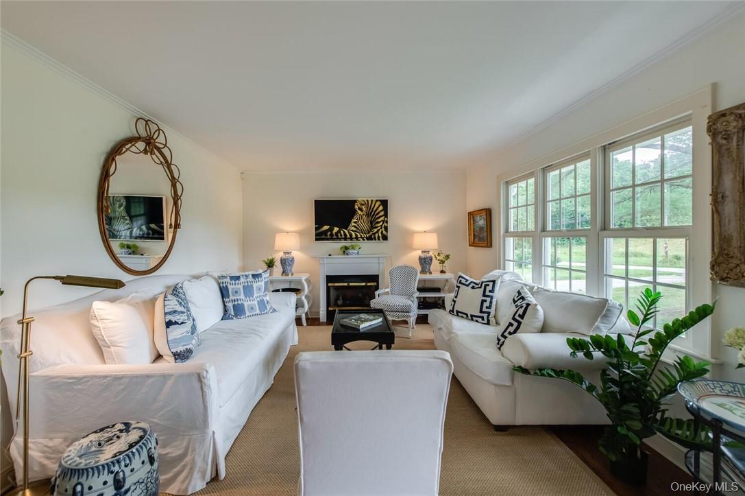 247 North Mabbettsville Road Millbrook, NY 12545 - Photo 6 of 25 a living room with furniture a fireplace and a potted plant