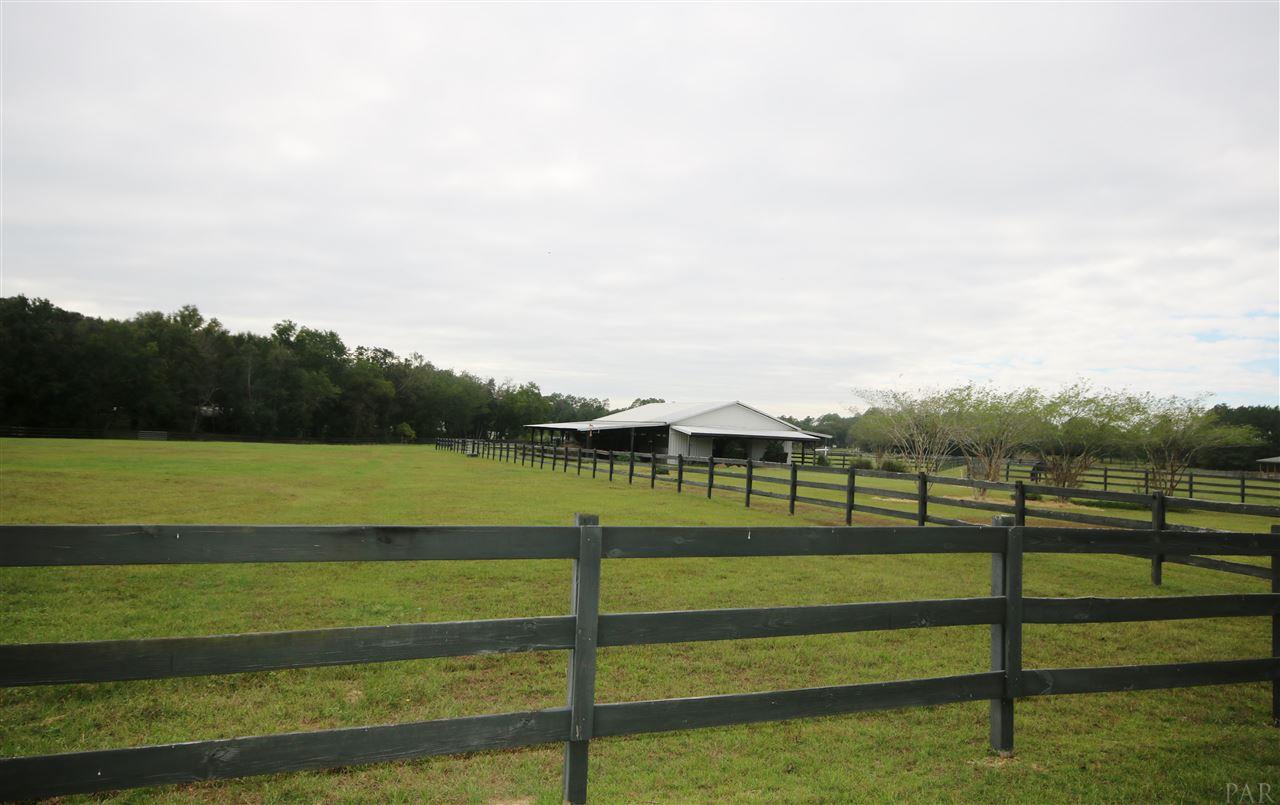 5559 Allie Rae Street Milton, FL 32570 - Photo 50 of 50 All have equine shelters.