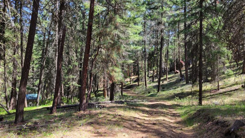 1315 Lofton Creek Road Prineville, OR 97754 - Photo 39 of 61 image000002 (4)