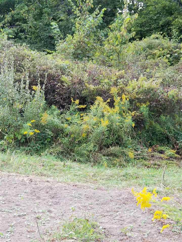 Parcel #1 Parcel Road Comstock Park, MI 49321 - Photo 3 of 24