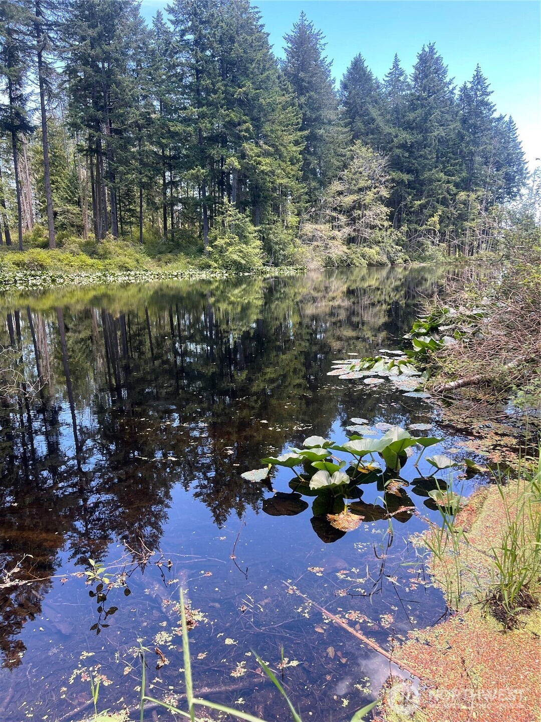 0 Reef Net Road Friday Harbor, WA 98250 - Photo 3 of 40
