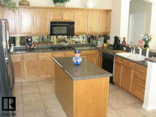 2222 Edelweiss Loop Trinity, FL 34655 - Photo 9 of 10 Other