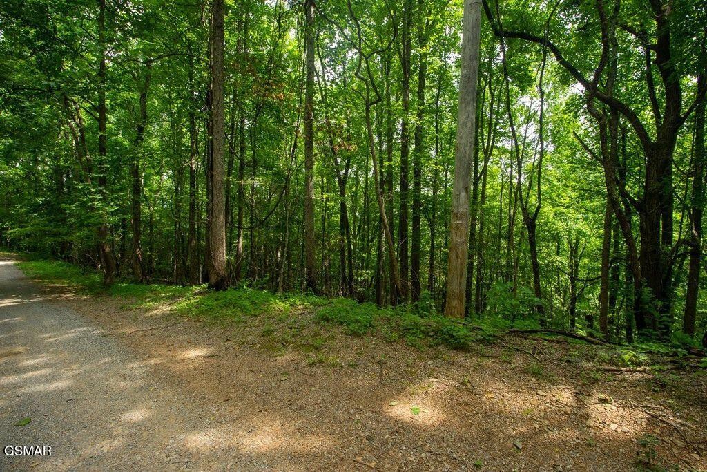 13 Sugar Maple Loop Road Sevierville, TN 37862 - Photo 1 of 12 Gallery Image 1
