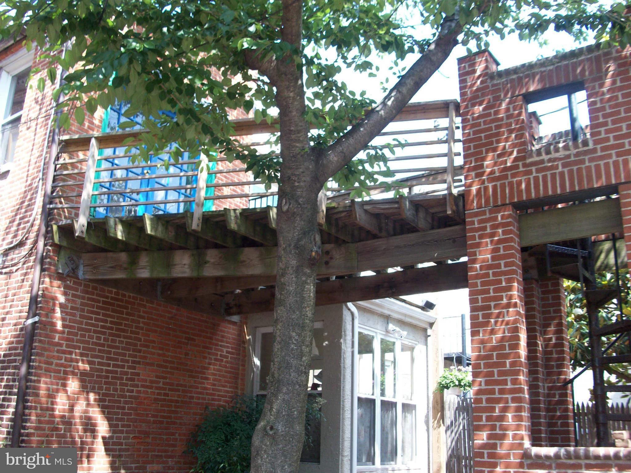 1265 Riverside Avenue Baltimore, MD 21230 - Photo 11 of 12 a picture of a tree in front of building