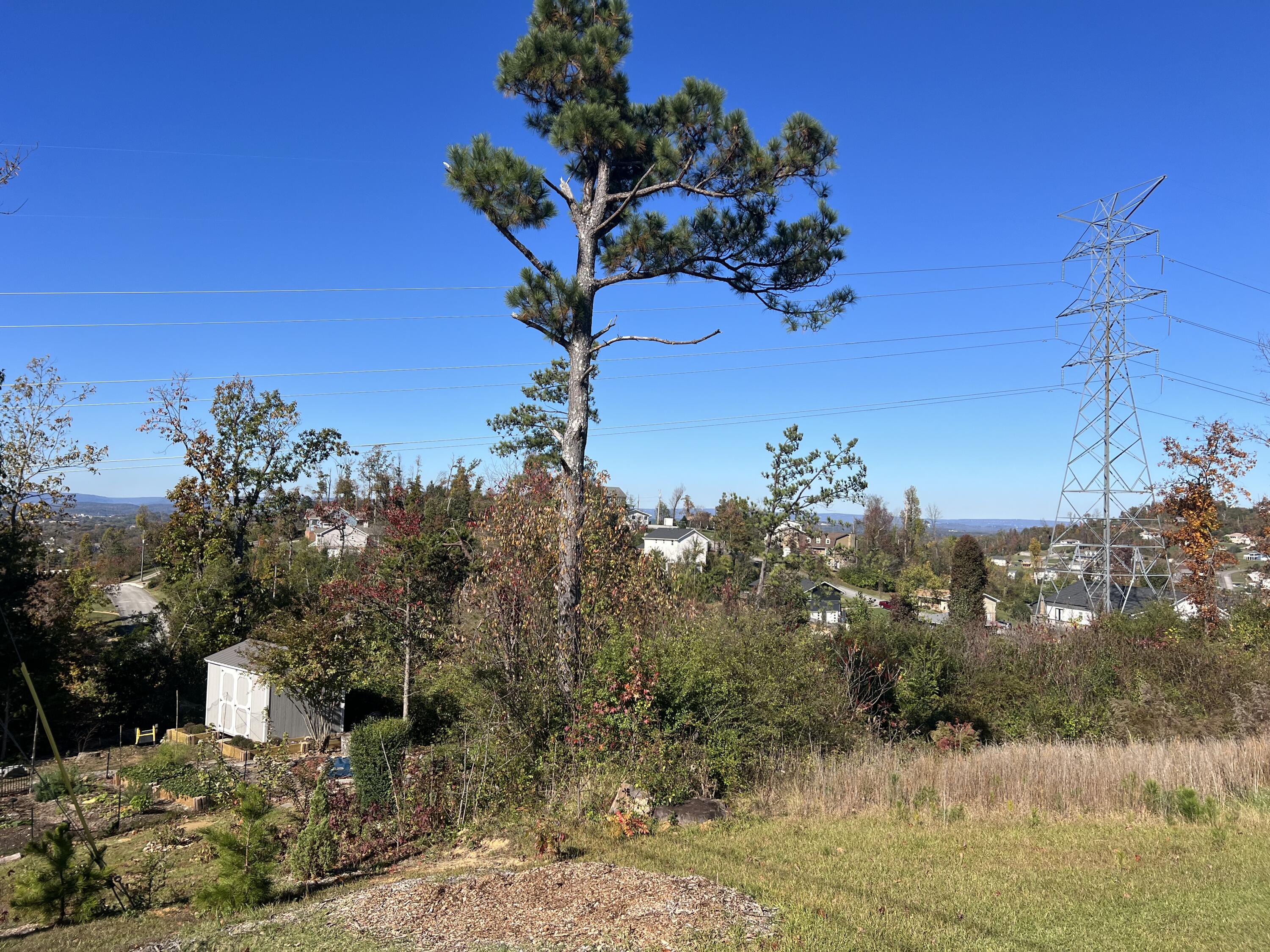 2349 Jennifer Drive Chattanooga, TN 37421 - Photo 4 of 12 Photo Nov 16 2024, 11 37 40 AM