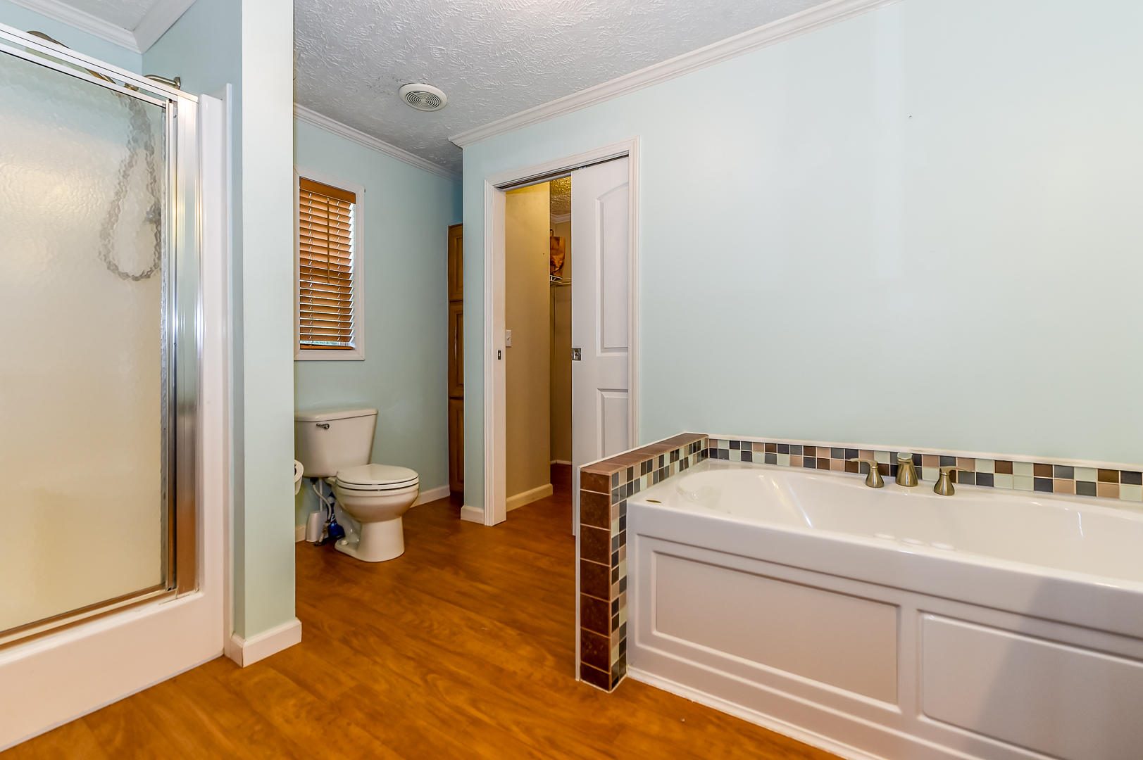 6325 Morganton Road Greenback, TN 37742 - Photo 24 of 40 Master bath