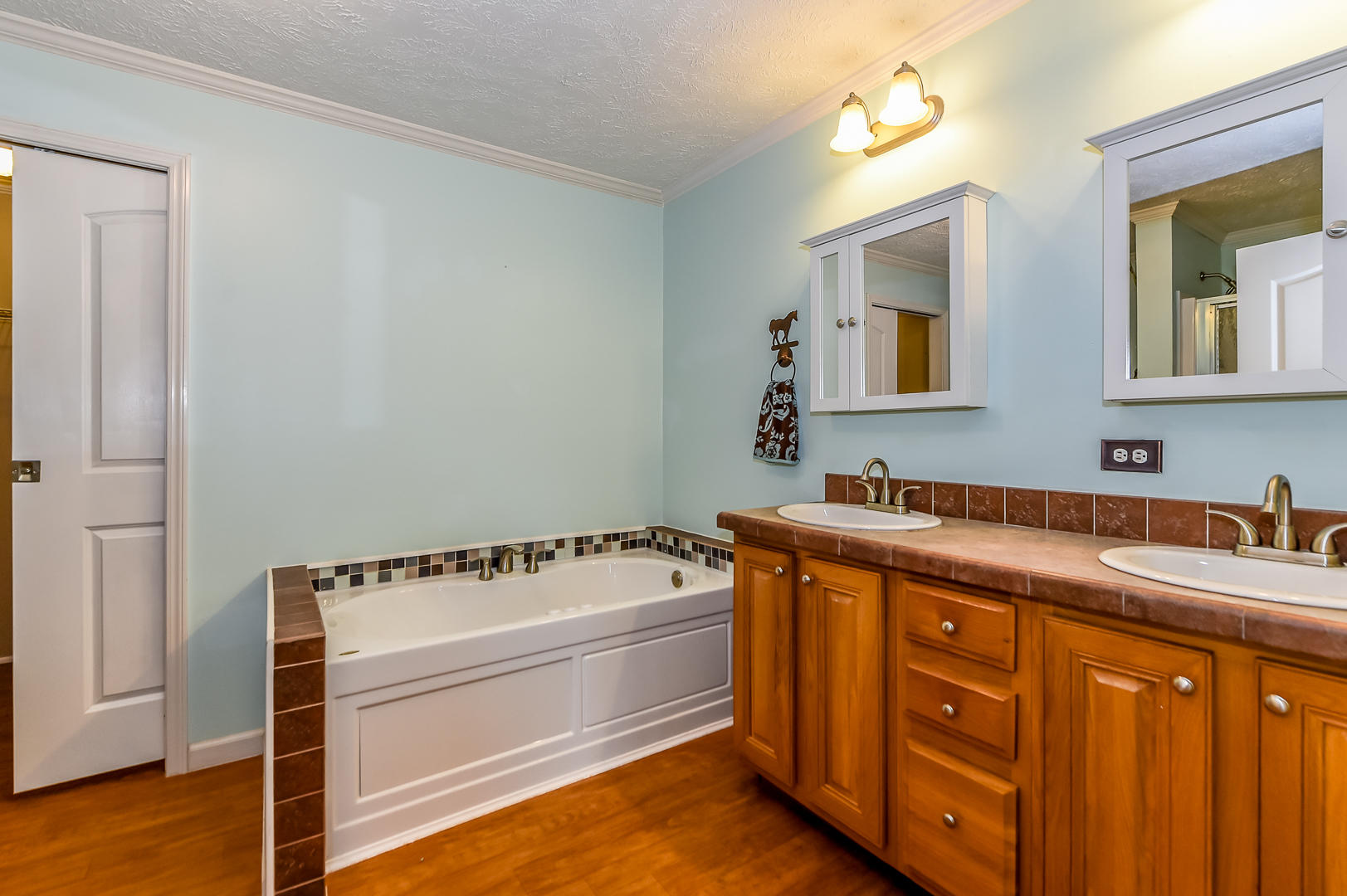 6325 Morganton Road Greenback, TN 37742 - Photo 25 of 40 Double vanity in master bath