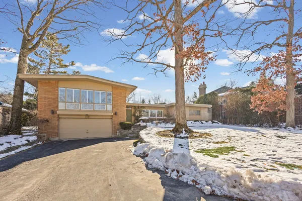 a street view with large trees