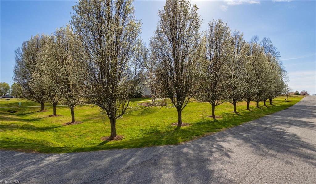 112 Ridge Drive Lexington, NC 27295 - Photo 25 of 31 Gallery Image 25