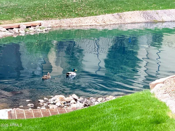 $2,700 | 705 West Queen Creek Road, Unit 2114, Chandler, AZ 85248