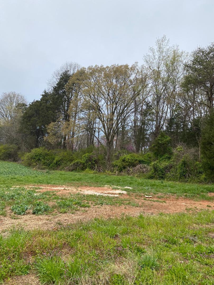 229-233 South Chipley Ford Road Statesville, NC 28625 - Photo 2 of 3