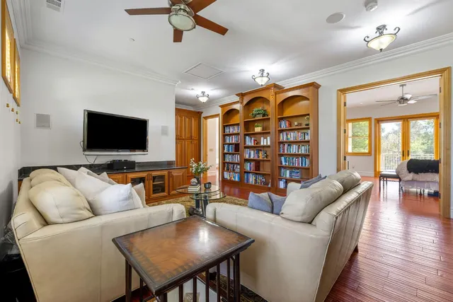 a view of a park with large trees
