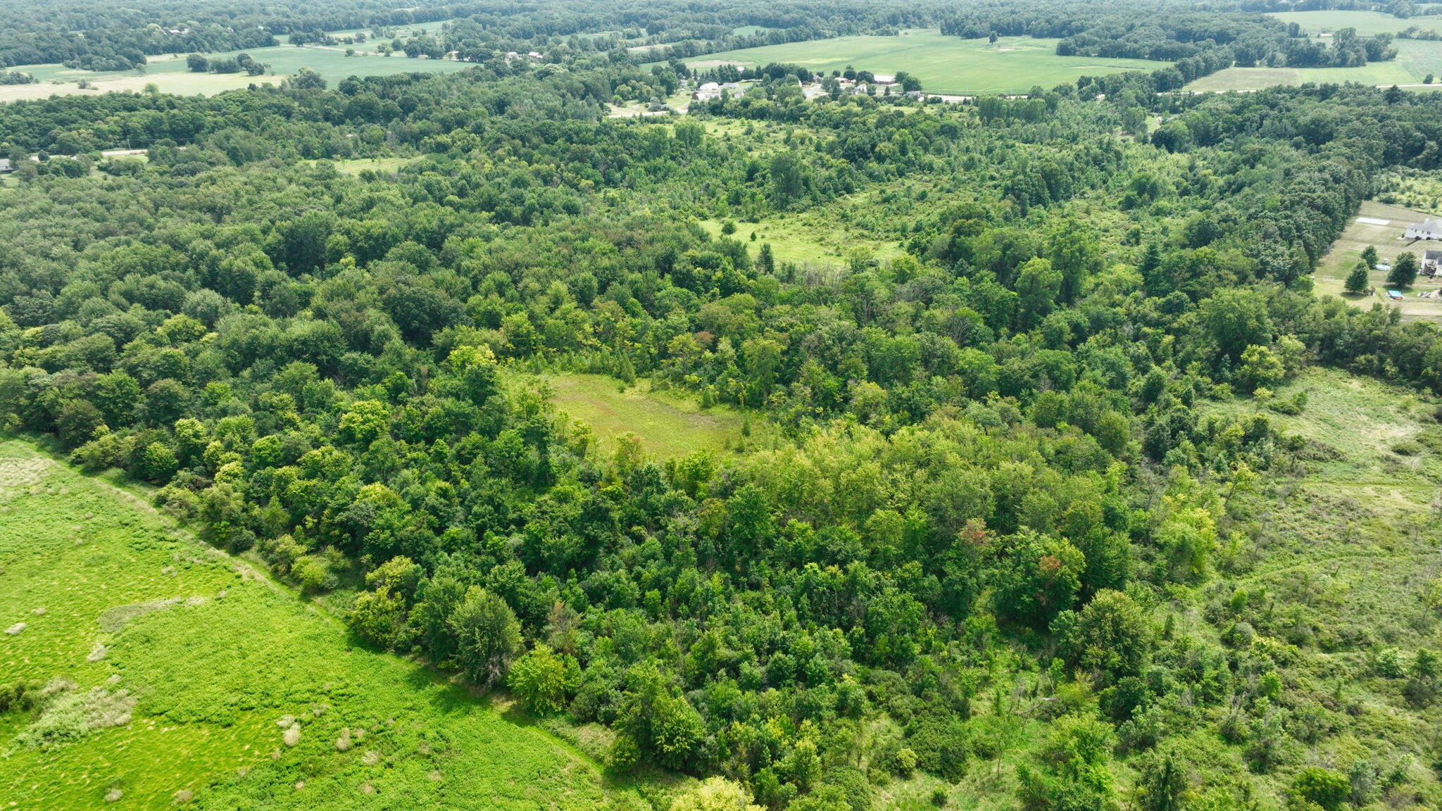 Bunkerhill Road Jackson, MI 49201 - Photo 19 of 34 19-web-or-mls-DJI_0402