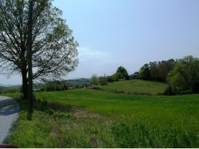 Lot 7 Pates Hill Road, Unit 18 Mosheim, TN 37818 - Photo 3 of 6 Photo 3