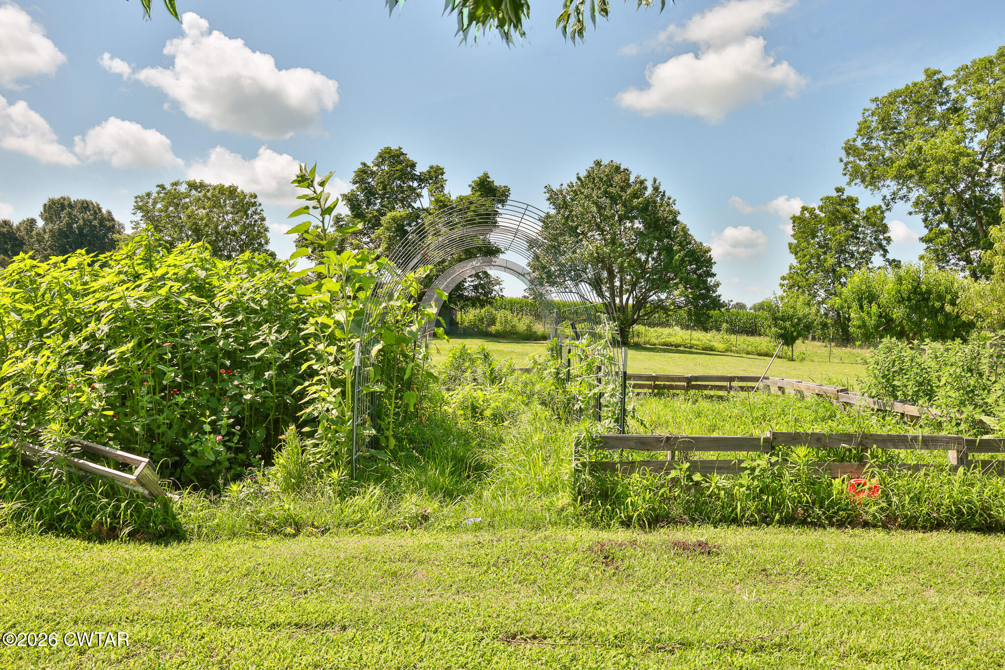 9139 New Home Road Martin, TN 38237 - Photo 38 of 46 FT8A0070