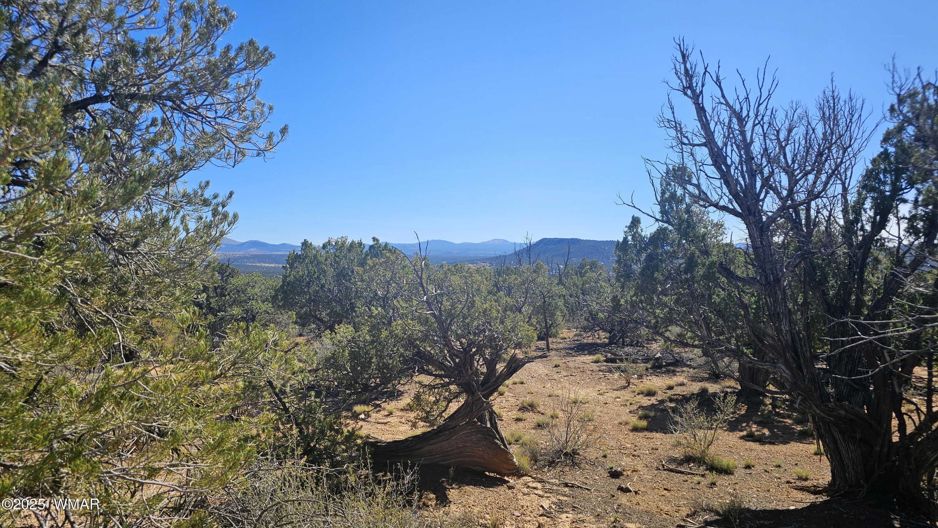 4 County Road Concho, AZ 85924 - Photo 7 of 28