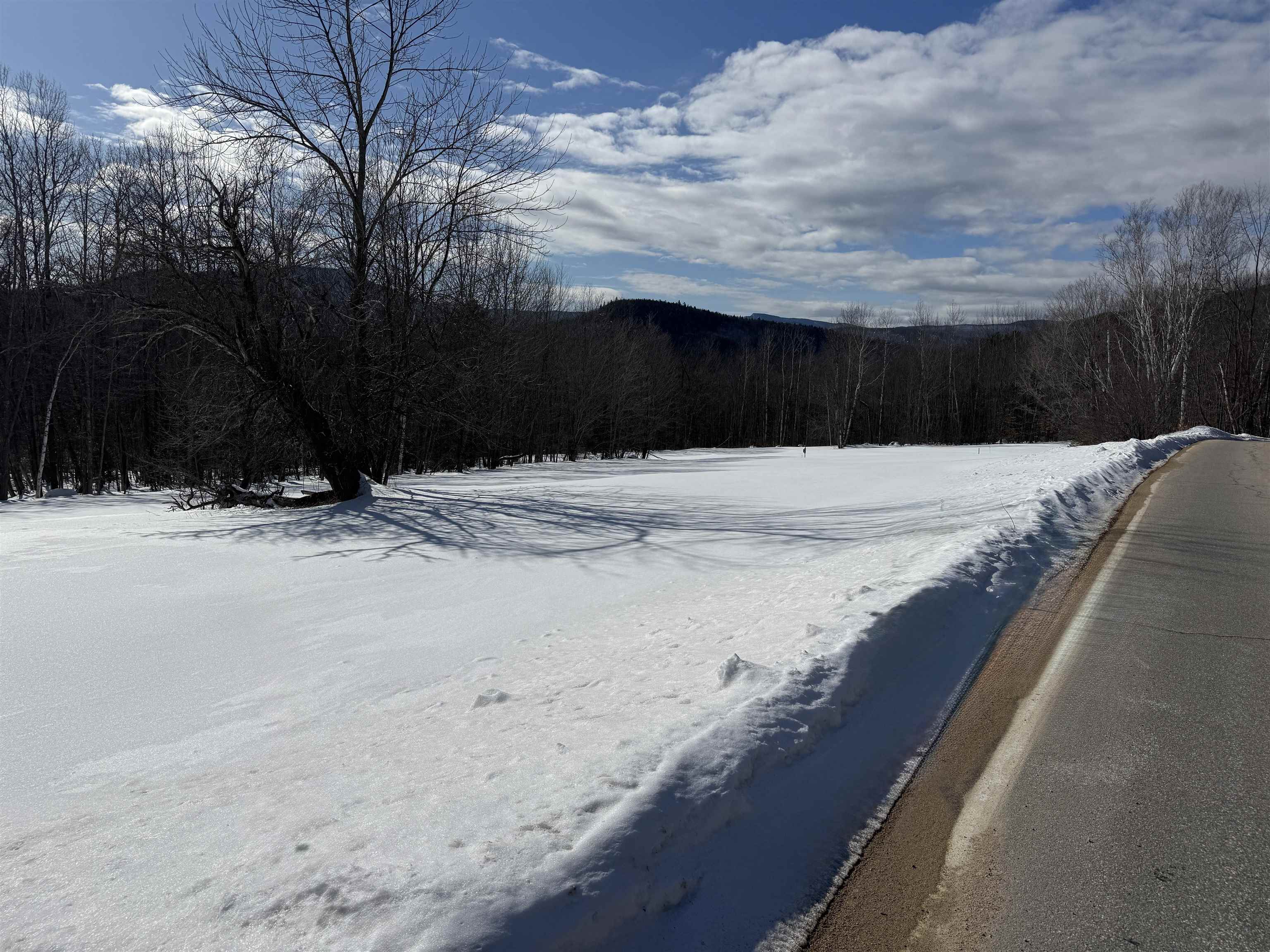 Tbd Moody Farm Road Jackson, NH 03846 - Photo 4 of 5