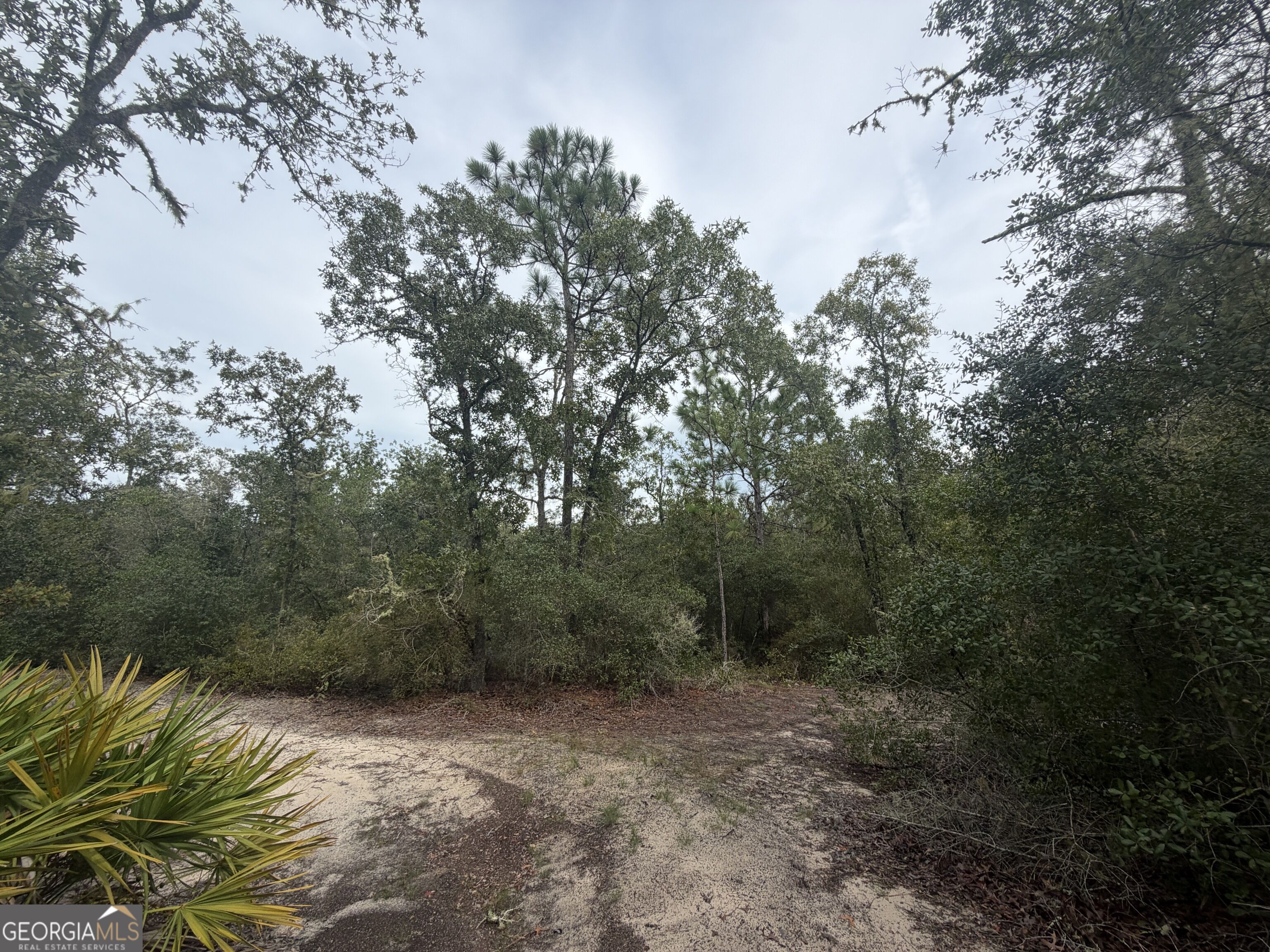0 Jamestown Road Waycross, GA 31503 - Photo 61 of 92 Gallery Image 61