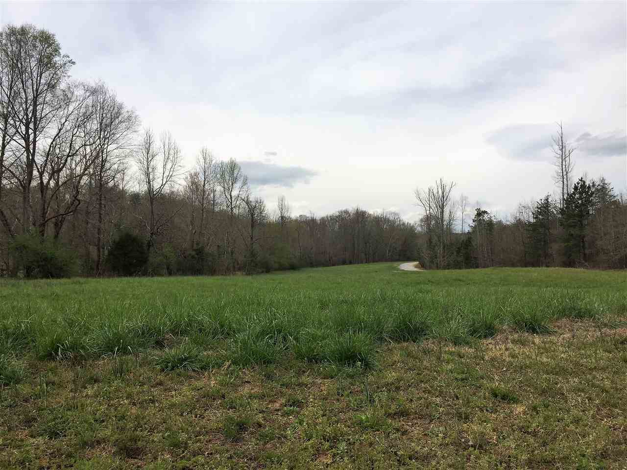 0 Arlys Lane Tryon, NC 28782 - Photo 1 of 8 Gallery Image 1