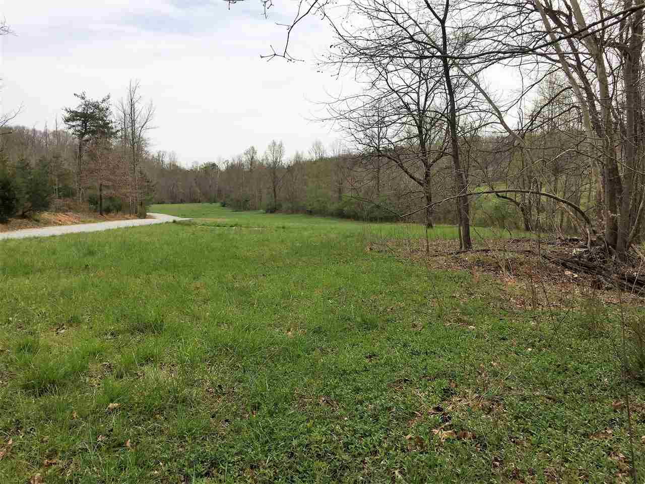 0 Arlys Lane Tryon, NC 28782 - Photo 2 of 8 Gallery Image 2