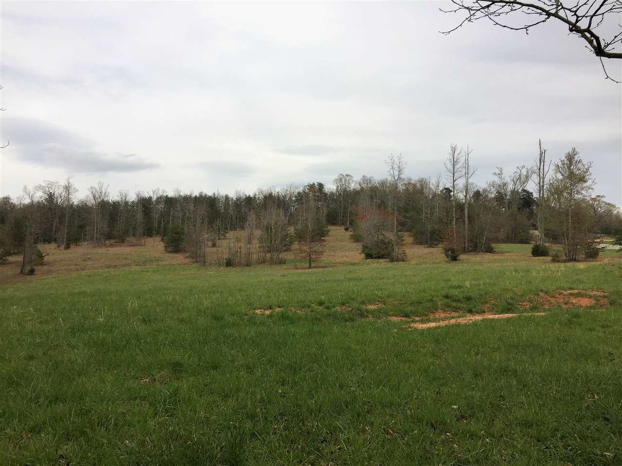 0 Arlys Lane Tryon, NC 28782 - Photo 3 of 8 Gallery Image 3
