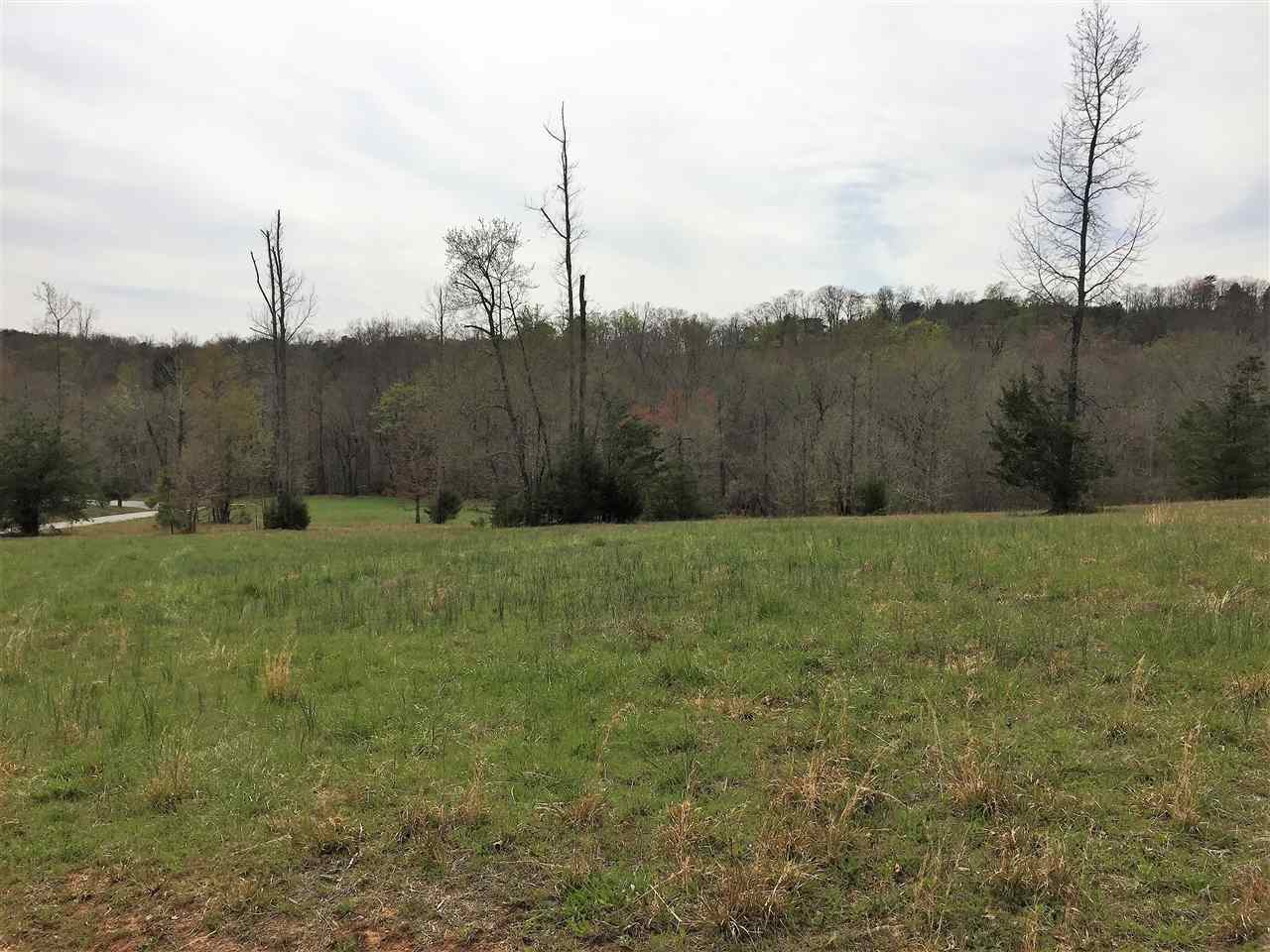 0 Arlys Lane Tryon, NC 28782 - Photo 5 of 8 Gallery Image 5