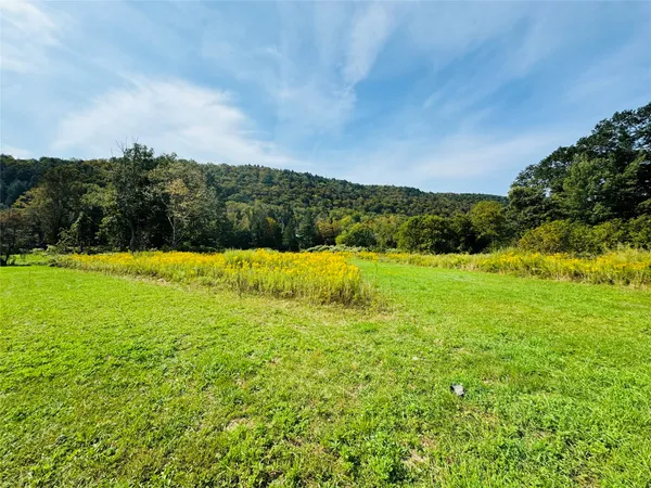 $590,000 | 10-48 Evans Road, Hancock, NY 13783