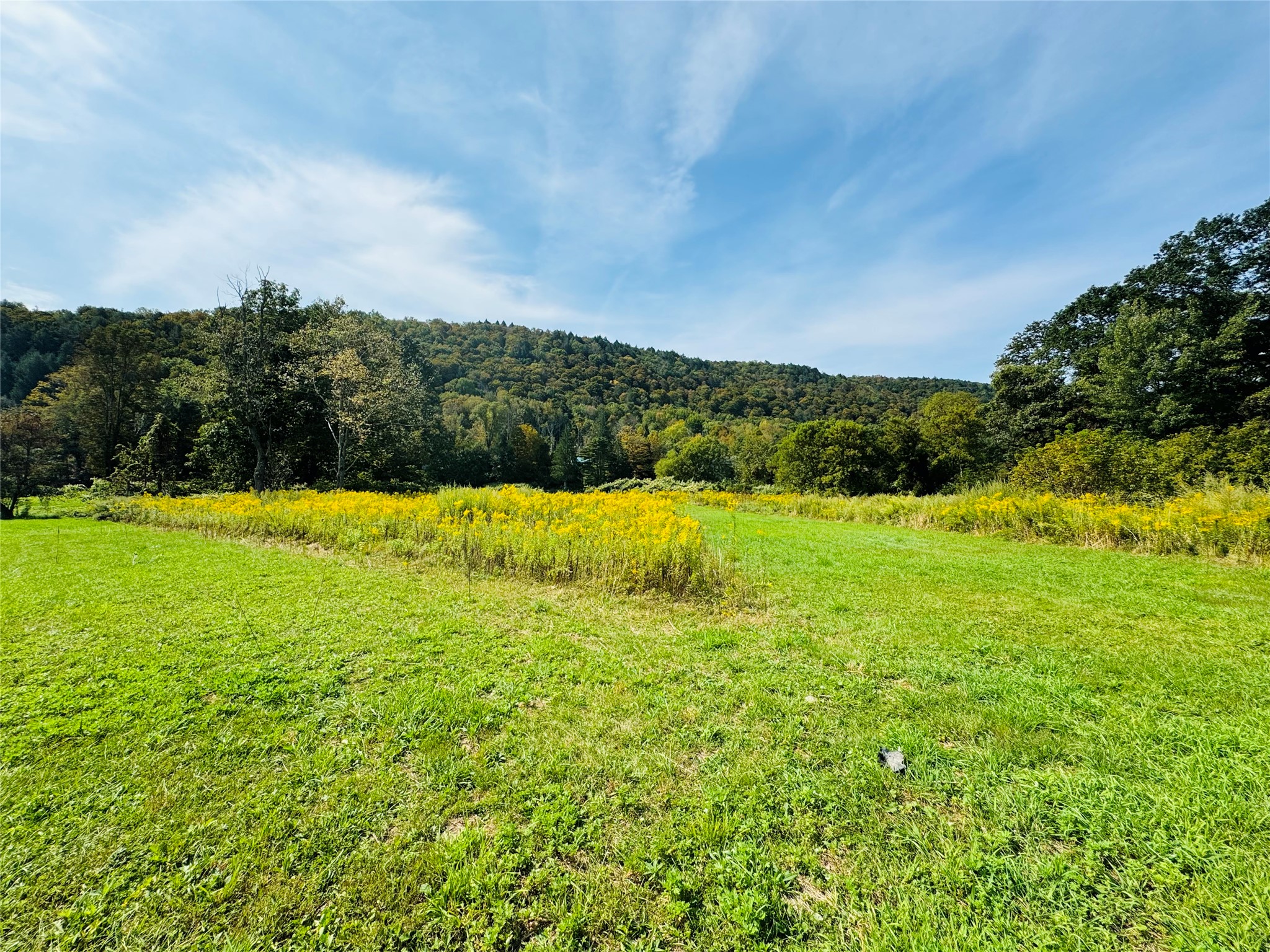 10-48 Evans Road Hancock, NY 13783 - Photo 18 of 26