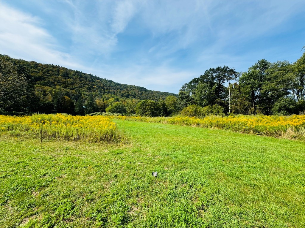 10-48 Evans Road Hancock, NY 13783 - Photo 19 of 26