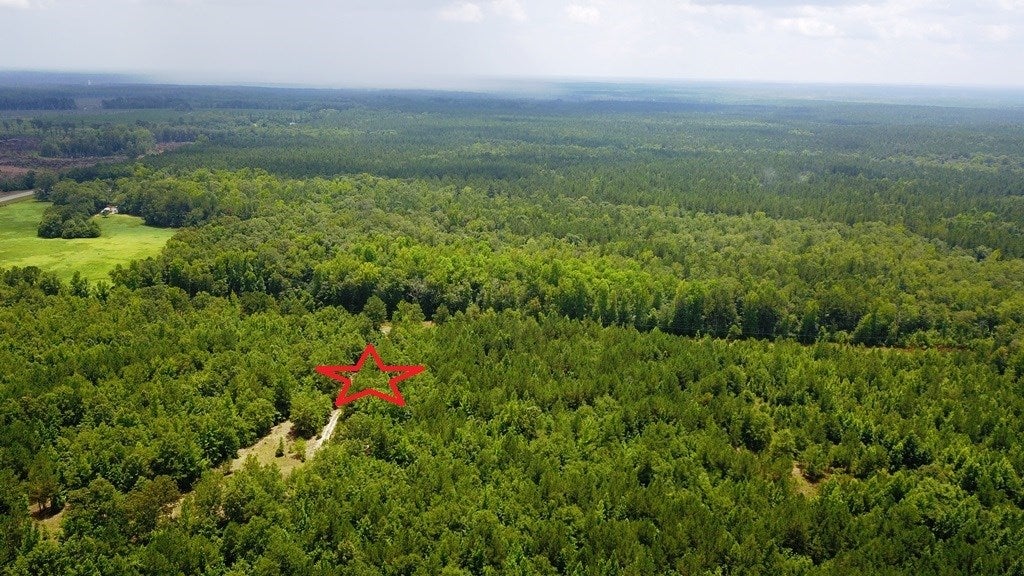 Lot 0 Balerma Church Road Sparta, GA 31087 - Photo 15 of 20 Gallery Image 15