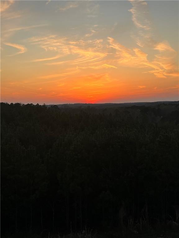 610 Cedar Creek Road Cartersville, GA 30121 - Photo 9 of 75