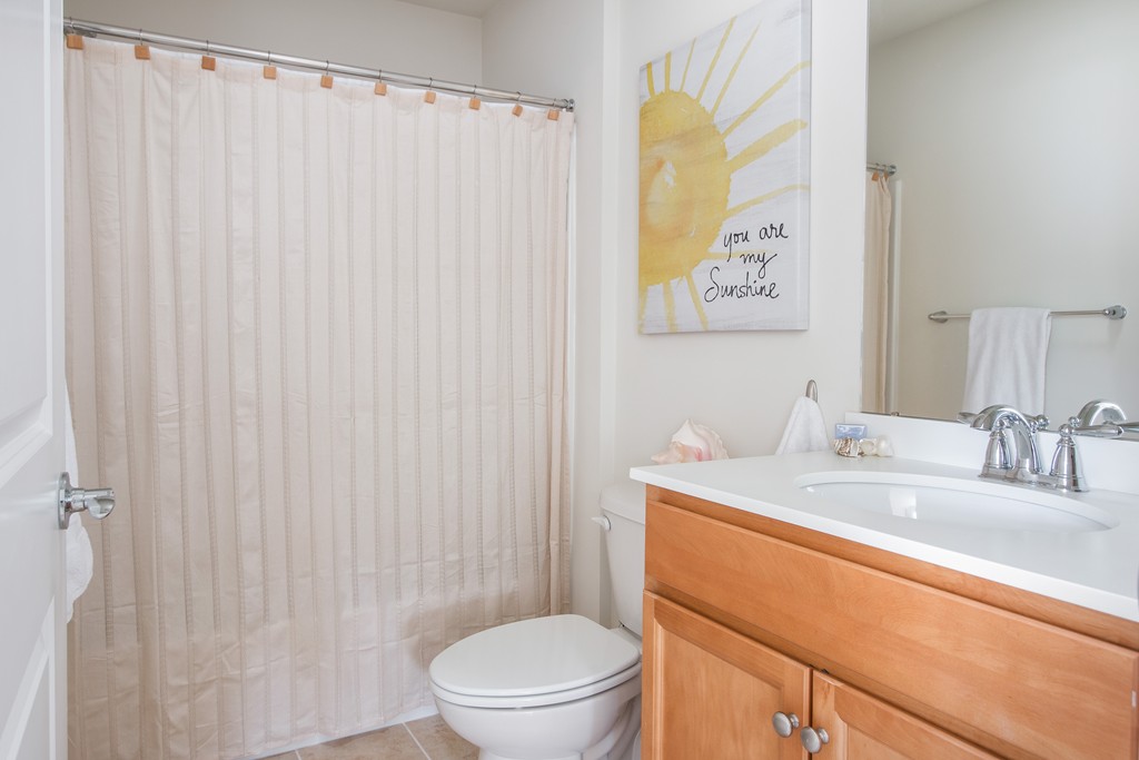 81 Monroe Drive, Unit 16 Holliston, MA 01746 - Photo 30 of 30 a bathroom with a sink a toilet and shower curtain