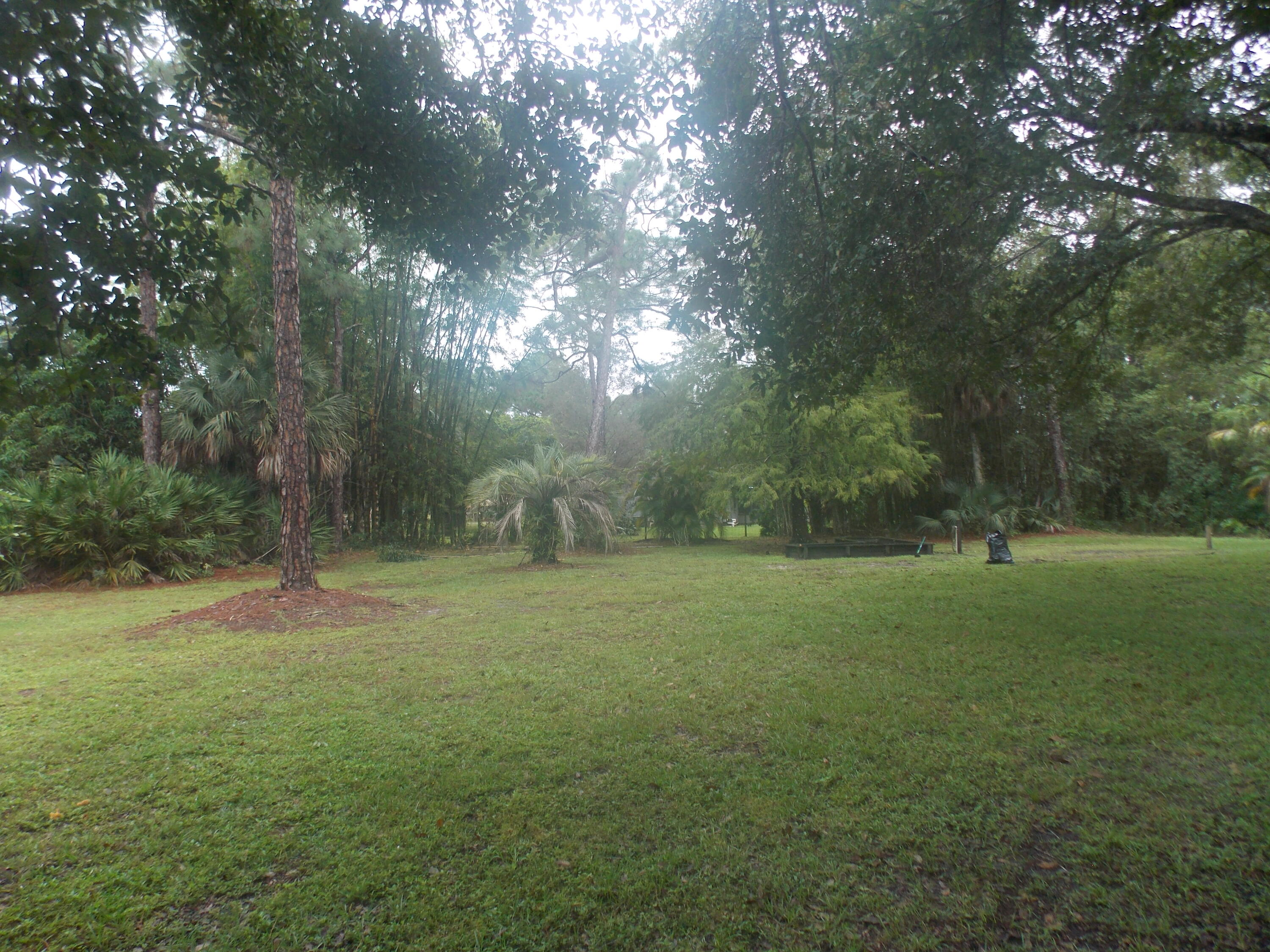 16219 134th Terrace North Jupiter, FL 33478 - Photo 36 of 40 a view of outdoor space and yard