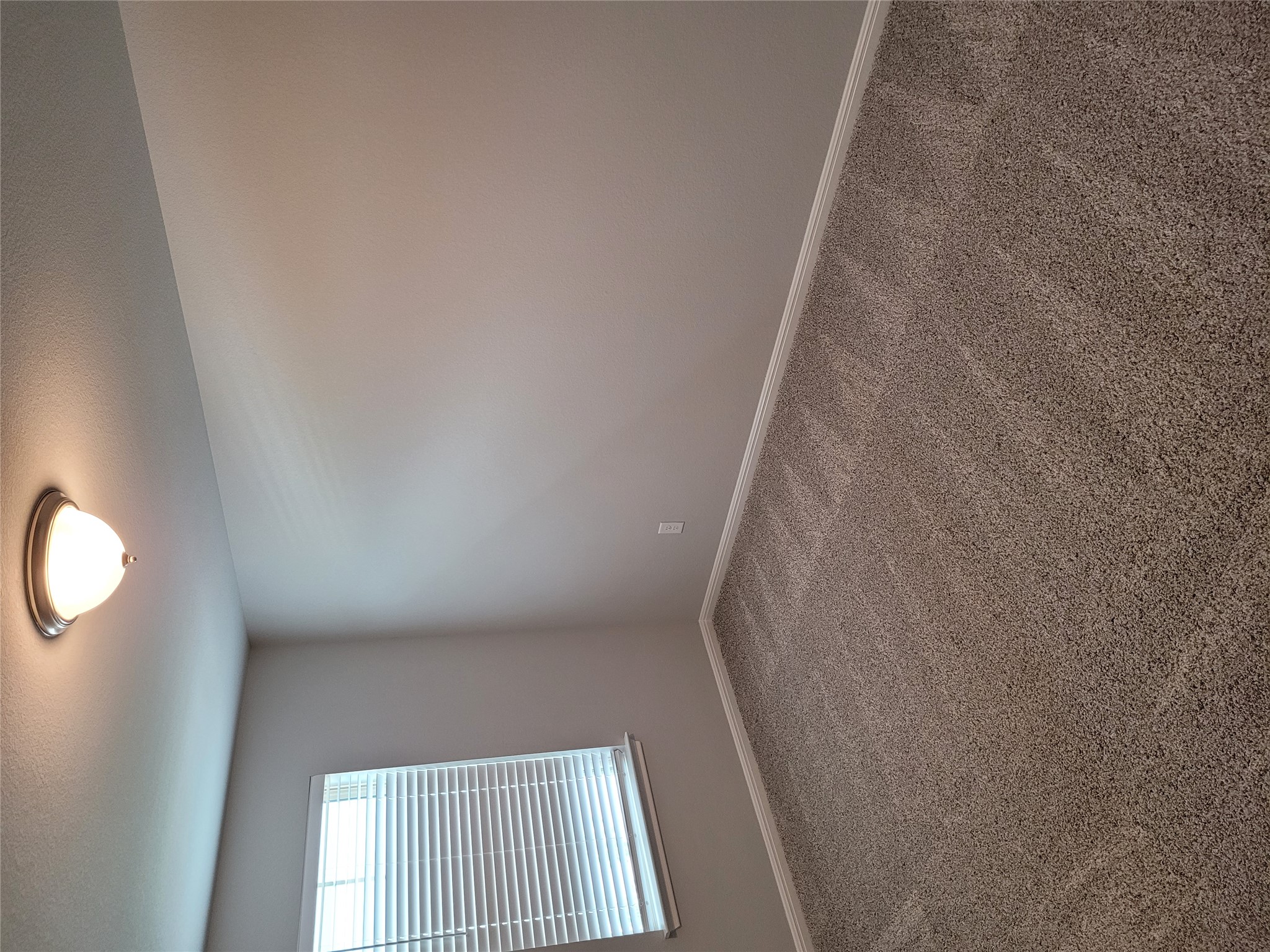 131 Wild Wind Cove Jarrell, TX 76537 - Photo 22 of 26 Neutral tone wall paint, textured carpet flooring, window with blinds, baseboards, and a ceiling-mounted light fixture