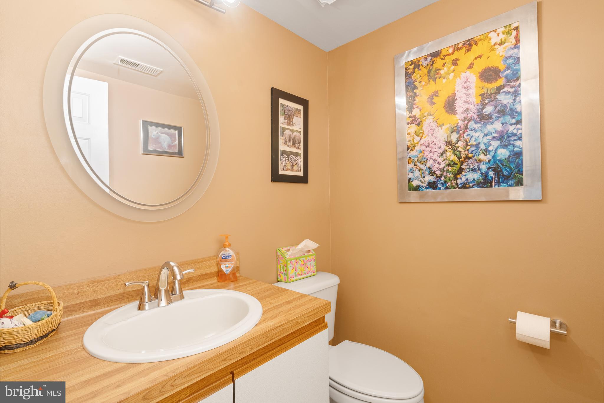 29 Tree Bark Lane Southampton, PA 18966 - Photo 43 of 50 a bathroom with a toilet a sink and mirror