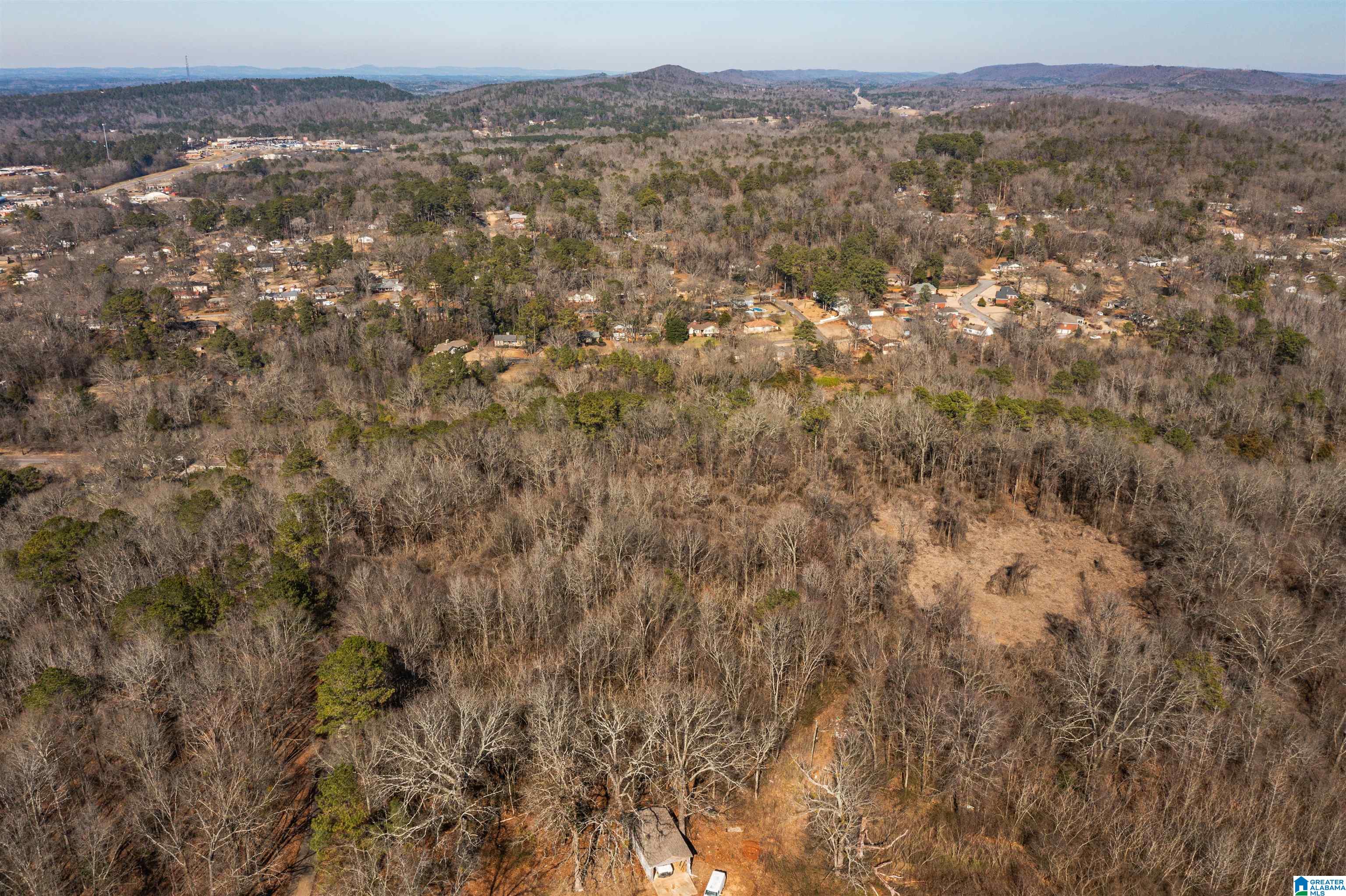 4392 Buzbee Road, Unit 1 Pinson, AL 35126 - Photo 11 of 27