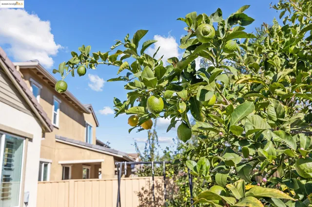 $695,000 | 732 Westmoor Circle, Oakley, CA 94561