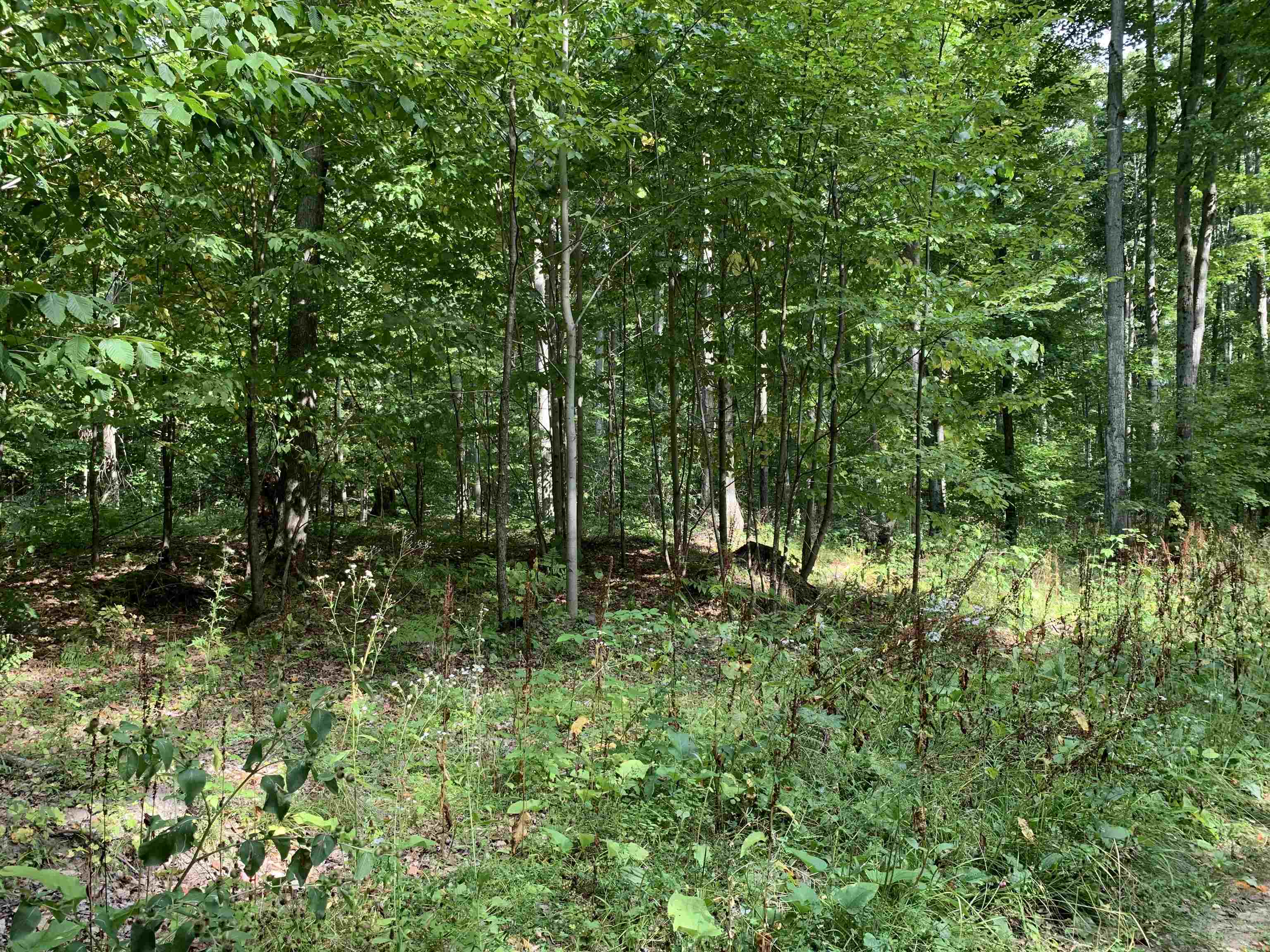 0 Keiser Road Levering, MI 49755 - Photo 7 of 17