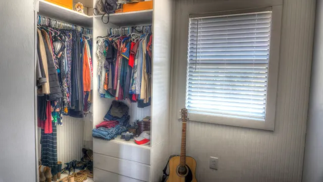 a view of a yard with plants and trees