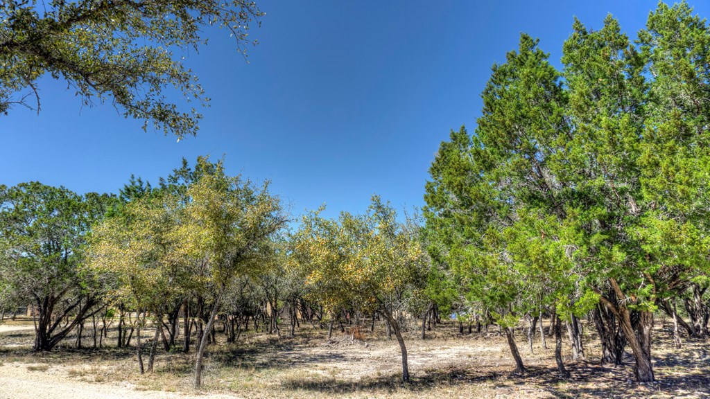 735 North Saddle Mountain Road Rio Frio, TX 78879 - Photo 53 of 61