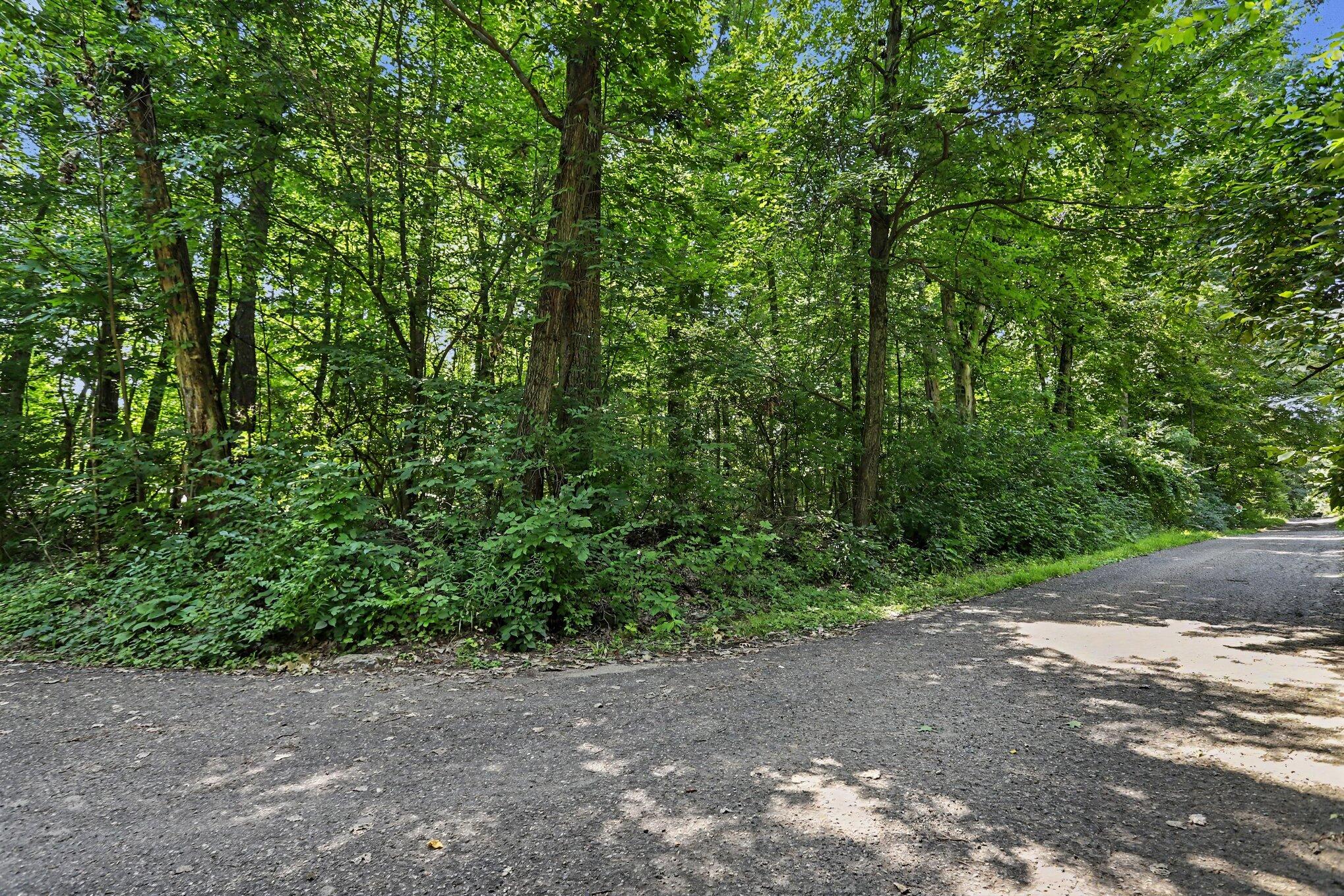 Three Middle Road, Unit LOTS 45 & 46 Three Rivers, MI 49093 - Photo 7 of 17 003_file_4856