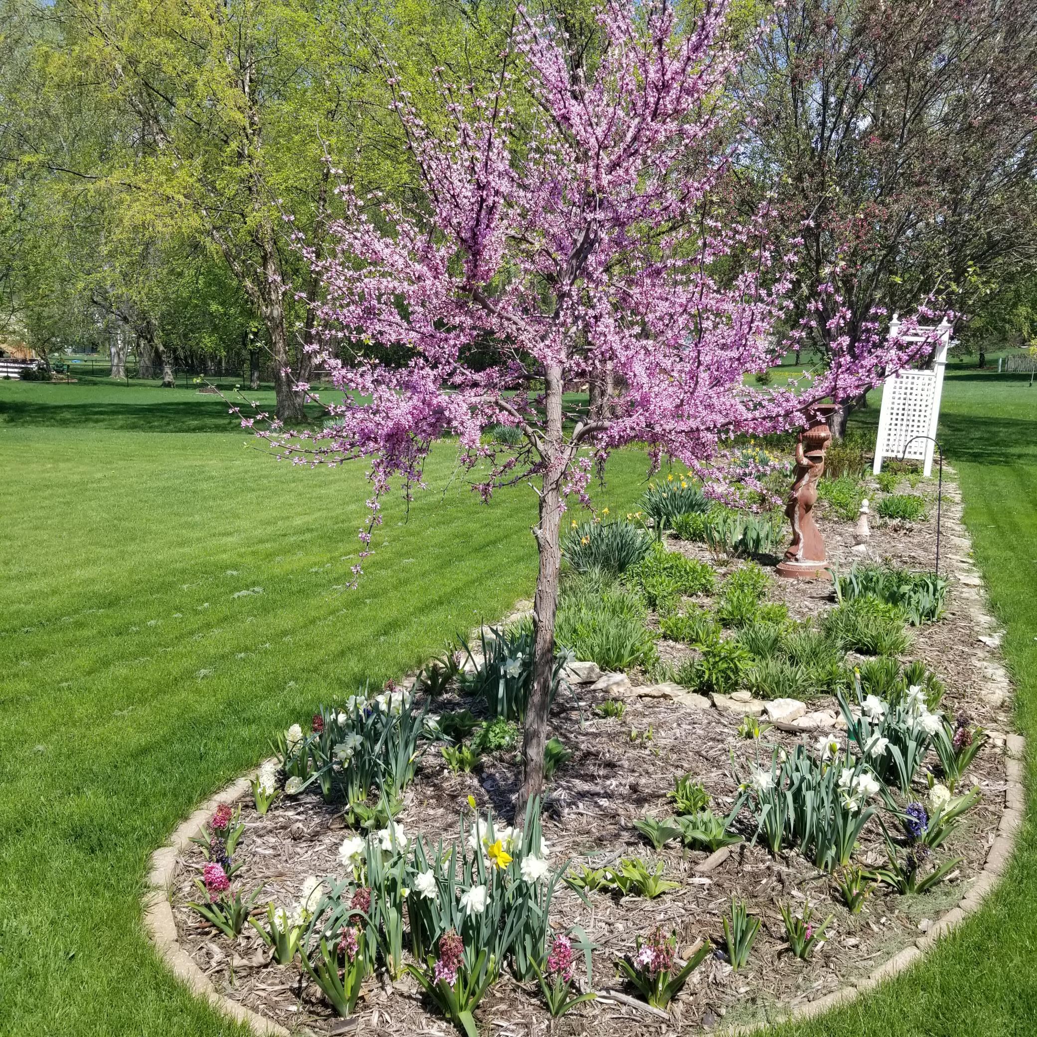 4230 Arboretum Drive Northwest Rochester, MN 55901 - Photo 85 of 89