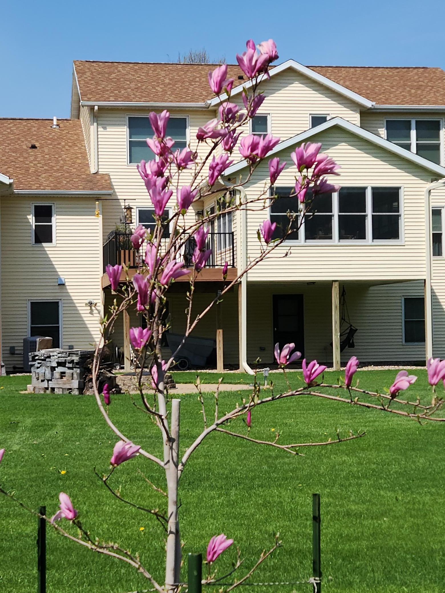 4230 Arboretum Drive Northwest Rochester, MN 55901 - Photo 87 of 89