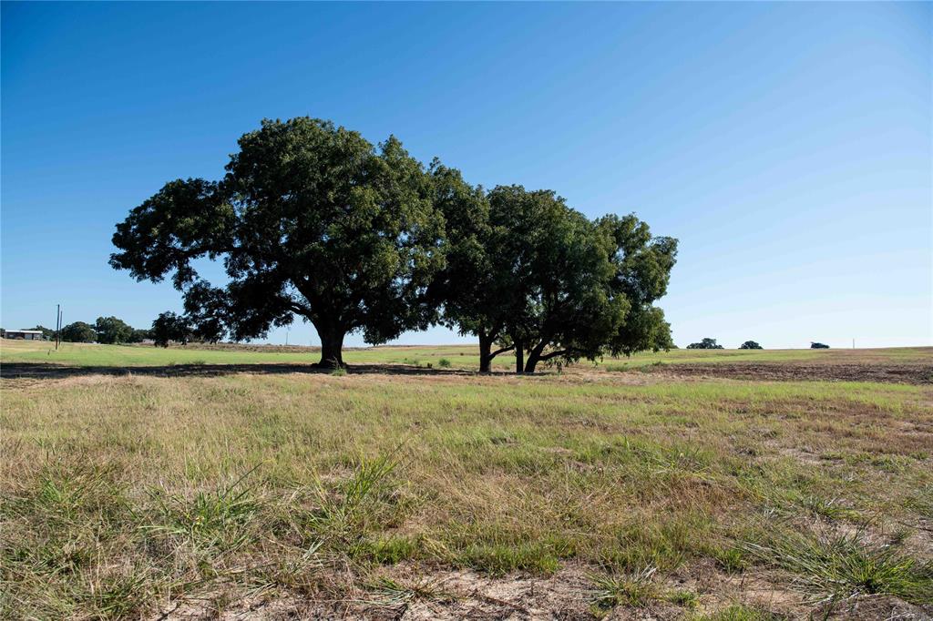 2160 County Road 4371 Decatur, TX 76234 - Photo 15 of 31 a view of an outdoor space and swimming pool