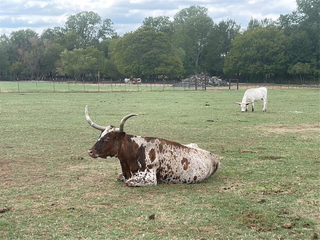 2160 County Road 4371 Decatur, TX 76234 - Photo 18 of 31 a view of a lake in middle of forest